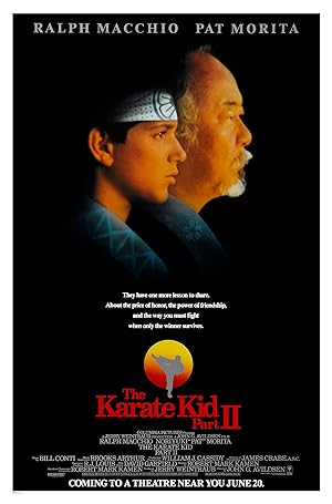 Karateci Çocuk 2 izle